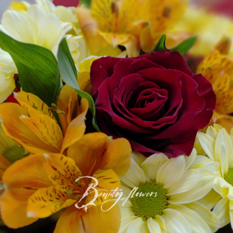 Осенний вальс 1